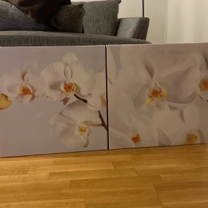 Tavlor  - Vi använde de men vi använder inte de längre för att vi byte tapeter.  De är fina.  Väger inget 