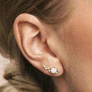 Örhängen (oanvända) - Superfina örhängen från SPARV som tyvärr inte kommer till användning, helt oanvända. Nypris för dessa ligger på 499kr.