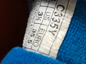 Inneskor  - Asics skor i fint skick endast använda ett fåtal gånger. 