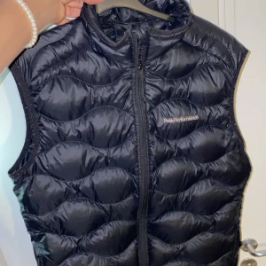Peak performance väst L - Tunn väst utan hål eller fläckar använd men bra skick, nypris 2099kr Storlek L men kan även passa M.