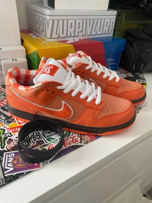 Nike Sb Orange Lobsters - Tjena! Köpte dessa sb:s för ett tag sedan och tänkte sälja de nu! Har aldrig någonsin använts och är authentic / äkta. Kvitto finns så meddela mig om ni vill se det!  Meddela mig för fler bilder eller om du har några andra frågor!   Pris kan diskuteras