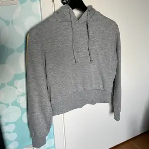 En grå hoodie med färgade streck på ärmen. Använd fåtal gånger och hängt i min garderob sen 2018. Är XS men sitter som en S eller M