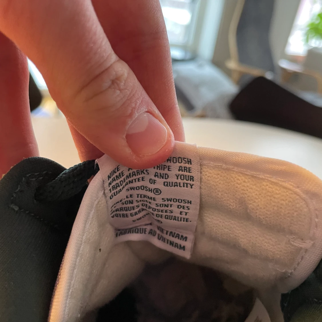 Dunk high spartan - 91