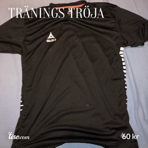 Träningströja - Fin och stor träningströja, finns även ett par maxade shorts till tröjan. Hör av er om ni vill ha både och. Kom med eget bud om du vill köpa. Köparen står för frakten. Vill bli av med allt så fort. Om nån är intresserad så kollar jag upp frakten då. 