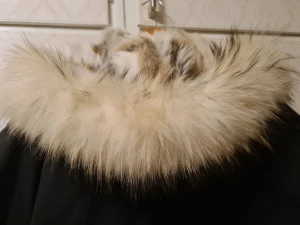 Jacka passar till kvinna och man - S