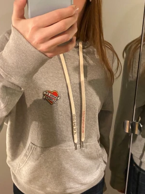 Zadig hoodie - Super fin Zadig hoodie köpt i sommars för cirka 2800 men bara använd två ggr, så den är i superfint skick (som ny) skickat gärna fler bilder vid intresse! Inga skambud! Frakt tillkommer och buda privat❤️