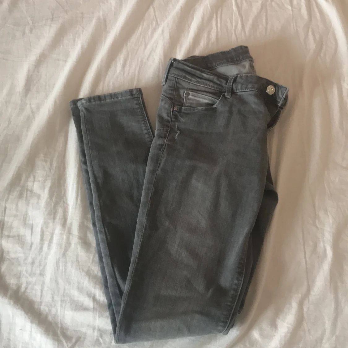 Fina gråa kåhmidajde Jens 