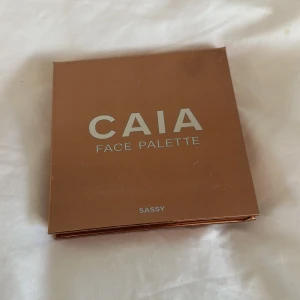 Caia palett  - Caia palett använd en gång! 