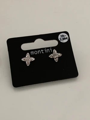 Silver örhängen  - Helt nya