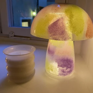 Lampa - Säljer handgjorda lampor. Design kan väljas av köparen. Svamplampan är större och kostar 450kr den rosa är mindre och kostar 300!   Välj mellan färgerna eller blanda 💚💜💙🧡💗