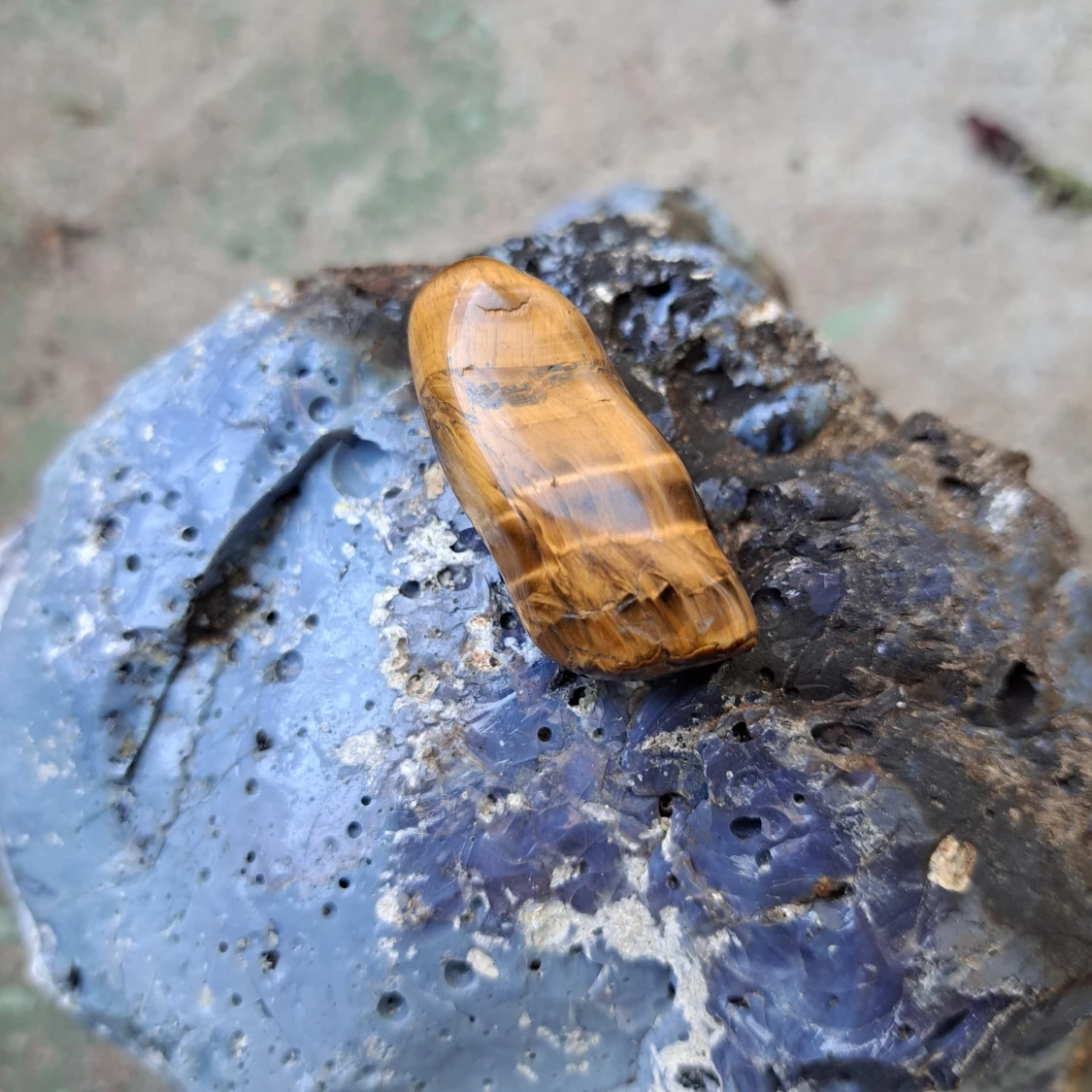 Tigeröga. En av mina första. Lite kul. 