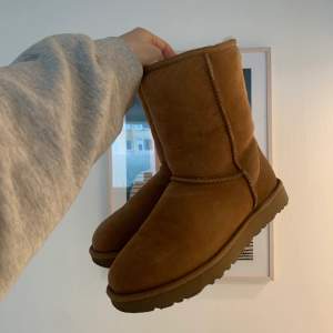 Äkta uggs i färgen chestnut! Modellen är ”classic short”🤎 Enbart använda ett fåtal gånger dvs i princip nya🫶🏻 Nypris 2295kr. Köpare står för frakt☺️