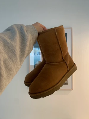 Uggs - Äkta uggs i färgen chestnut! Modellen är ”classic short”🤎 Enbart använda ett fåtal gånger dvs i princip nya🫶🏻 Nypris 2295kr. Köpare står för frakt☺️