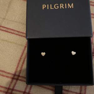 Pilgrim hjärtformade örhängen, de är antingen doppade i silver eller gjorda av rostfritt stål. Jag köpte dem för ca 200kr för typ 1 år sedan och har aldrig använt dem.  Priset kan diskuteras vid en snabb affär.💓💓