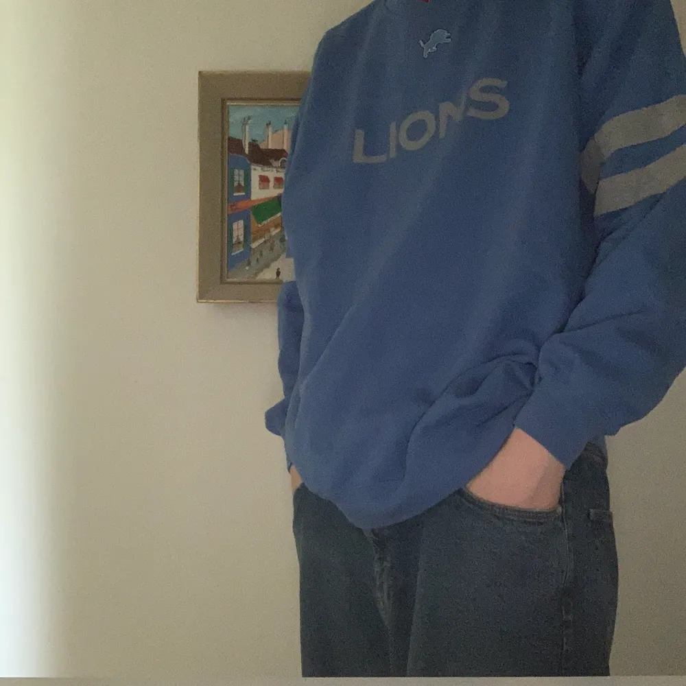 Detroit Lions sweatshirt som har användts kanske 2-3 gånger av mig, köpt på beyond retro. Det står ingen storlek men jag skulle tro typ XL.. Hoodies.