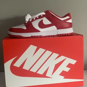 Dunk low usc - Helt nya