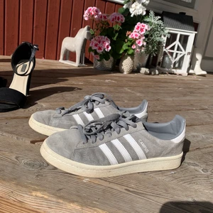 ADIDAS CAMPUS - ADIDAS CAMPUS, gråa, storlek 38. SÅ bekväma, jättefint skick! använda fåtal gånger!