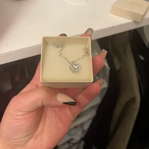 Lilly and rosé  - Inte använd 