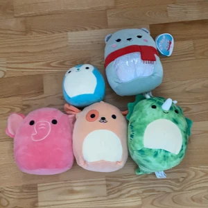 Säljer squishmallows!  - Har tappat intresse för just dom här. Alla har lapp! (Skicka för fler bilder) alla har olika pris på sig! Frakten blir också olika beroende på vad du köper för någon! Kontakta mig så kan vi prata om priset! Jag hade tänk för dom som är 20cm 160-165kr och den lilla som var väldigt dyr från början 120kr kontakta vid intresse!💕🍄