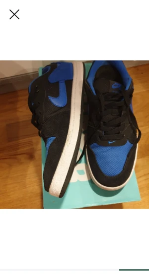 NIKE SB ALLEYOOP  SNEAKERS BLÅ/SVART 38.5 - BLUE & BLACK 38.5. Original kartong ingår.   Stl 38.5 (24.5 cm)  Ovandel i mocka och tyg  Slitstark yttersula i gummi  Vadderad låg krage  Mycket bra skick.   Nypris 729:- ....................  Är annonsen bara några dagar innan lön, hör bara av dig