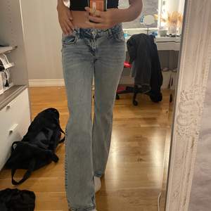 Ett par oanvända lowwaisted jeans! Superfina och perfekta i längden ifall du är lång (170cm). Köpta för 299 men bud startas vid 190. Vid snabb affär kan jag sälja dom för de priset. Köpare står för frakt!