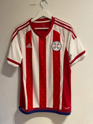 Paraguay landslaget tröja L