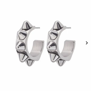 Örhängen  - Jätte fina edblads örhängen, som nya