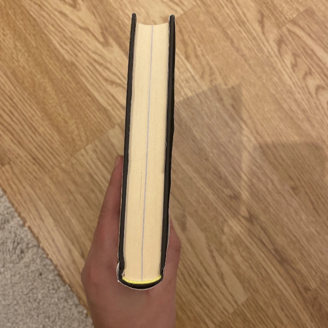 Bok om Harry styles  - 91