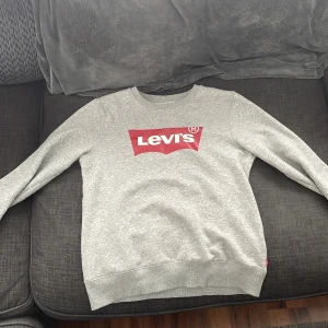 Levis tröja - En grå levis tröja som jag inte har hunnit använda särskilt mycket på grund av att den är för liten. Nypris på den är 500