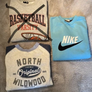 Sweatshirt - Säljer dessa tre sweatshirts för 150 kronor styck exslusive fraktkostnaden. Köper man alla tre kan man få de alla för sammanlagd 300 kronor exslusive frakten!! Skriv privat om du har några frågor osv❤️❤️🤩  Obs! Frakten är 69 kronor