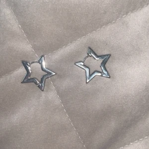 Stjärn örhängen! -  Säljer mina fina skärm örhängen i silver ( inte äkta)!! Köpta på MONKI för ca 200kr! Knappt andvända! ( 100kr + frakt )