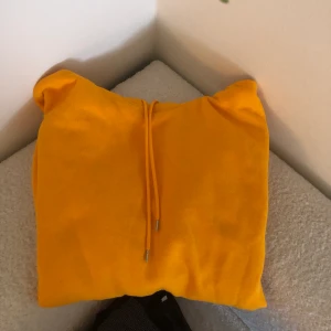 Hoodie  - Köparen står för frakten! 🍂