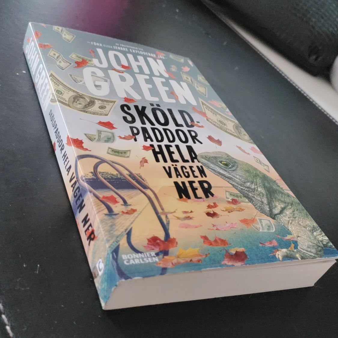 John Green "Sköldpaddor hela vägen ned" - 90