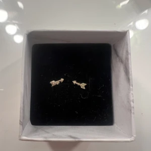 Guldiga pilformade örhängen - Små örhängen i form av pilar i guldig färg. De har en detaljrik design med små kulor längs pilens skaft och är perfekta för dig som gillar unika smycken med lite edge. Passar till alla tillfällen när du vill sticka ut lite extra.