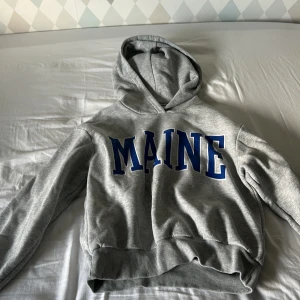 Grå hoodie MAINE Gina Tricot S - Grå hoodie från Gina Tricot i storlek S med blå texten MAINE framtill. Klassisk modell med huva och ribbade muddar. Perfekt för chill dagar eller när du vill ha en enkel och snygg look.