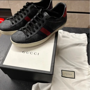 Gucci ace skor  - Fina gucci ace skor I nyskick! Strlk 44. Box och dustbags medföljer. 