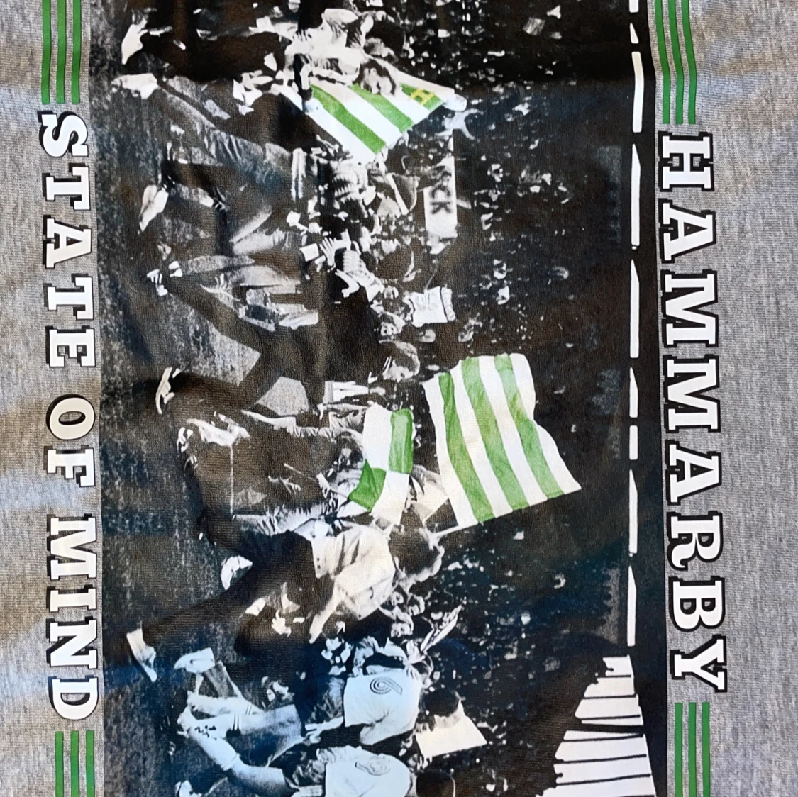 Grå Hammarby t-shirt med tryck - 1
