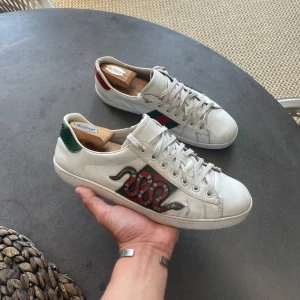Gucci ace snake  - Tja, säljer nu mina Gucci ace snake. Storlek 43 men passar större. Utsidan är ganska sliten men går definitivt att fräscha upp med en tvätt och kanske lite ny färg. Inget og medföljer. Jag är även öppen för byten! Vid fler frågor så är det bara att fråga. 