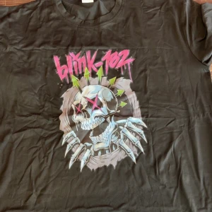 Svart Blink-182 t-shirt med tryck - Svart t-shirt med stort färgglatt Blink-182-tryck framtill. Motivet visar en tecknad dödskalle med rosa kryss över ögonen och gröna pilar, samt bandets logga i rosa graffiti-stil. Klassisk rund hals och korta ärmar. Perfekt för dig som gillar bandmerch och coola prints.