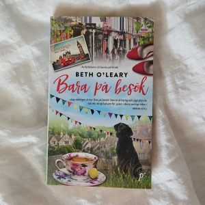 Bara på besök - En charmig feelgoodroman om Leena och Eileen som byter liv med varandra i två månader. Boken utspelar sig både i London och på landsbygden i Yorkshire. Omslaget har färgglada detaljer, en tekopp, en svart hund och festliga vimplar.