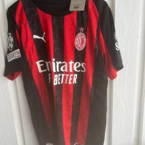 AC Milan Modric #14 matchtröja Puma - AC Milan fotbollströja med Modric och nummer 14 på ryggen. Klassisk röd och svart randig design, kortärmad med vita Puma-loggor och Champions League-märke på ärmen. Tunn och sportig polyester, perfekt för fotbollsälskare.