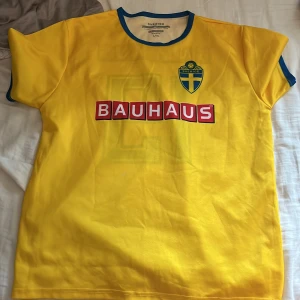 Sveriges national lag  - Denna kunde man få förr så log dom på din stol och så fick du den till matchen och ta hem. Använt den en gång och det var en match 