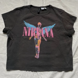 Gråsvart Nirvana baby tee, H&M Divided - Cool croppad t-shirt från H&M Divided med klassiskt Nirvana-tryck i rosa, blått och gult framtill. Relativt hög halsringning och korta ärmar. Tillverkad i 100% bomull. Perfekt för dig som gillar bandmerch och streetstyle. Väl använd men med mycket mer att ge. Se tredje bilden för mindre defekt. 