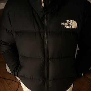 Svart dunjacka från The North Face - Säljer en svart dunjacka från The North Face med dragkedja och hög krage. Jackan har en pufferdesign och är perfekt för kyliga dagar. Logotypen är synlig både fram och bak.  (Priset kan diskuteras) ❤️