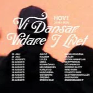 Hov1 biljet Norrköping  - Biljet till hov1 i Norrköping. Säljer då jag råka köpa en för mycket😊🩷