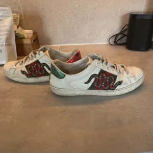 Gucci ace snake  - Säljer ett par Gucci ace snake skorna är äkta och i gott skicka bara att de är lite slitet där bak på ena skon som man kan se på en av bilderna. Dom är i storlek 40,5. Hör av er vid funderingar eller om ni vill ha fler bilder💯