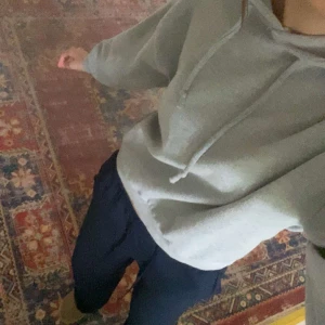 Ljusgrå hoodie - Säljer en enkel och stilren ljusgrå hoodie med huva och snören. Tröjan har långa ärmar och en avslappnad passform, perfekt för en chill vardagslook. 
