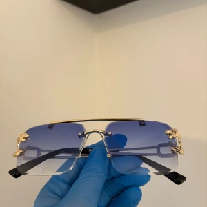 Blåtonade cart1er med guld glasögon 🔥 - Blåtonade Cart1er glasögon med guld detaljerat