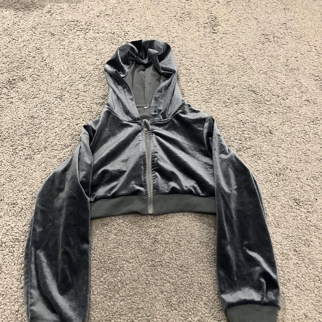 Grå mjukissätt i sammet - 2