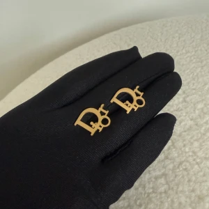 Örhängen  - @luxaryvault på Instagram 